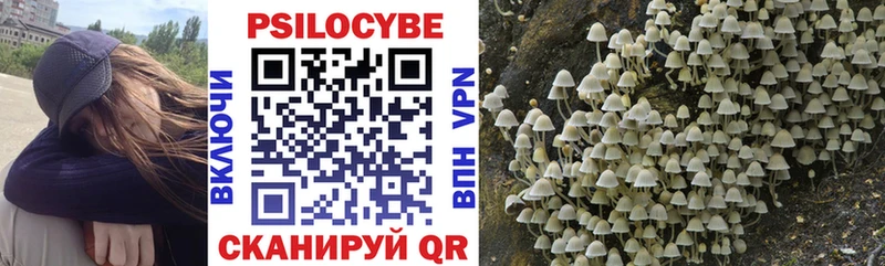 Псилоцибиновые грибы мицелий  hydra онион  Печоры 